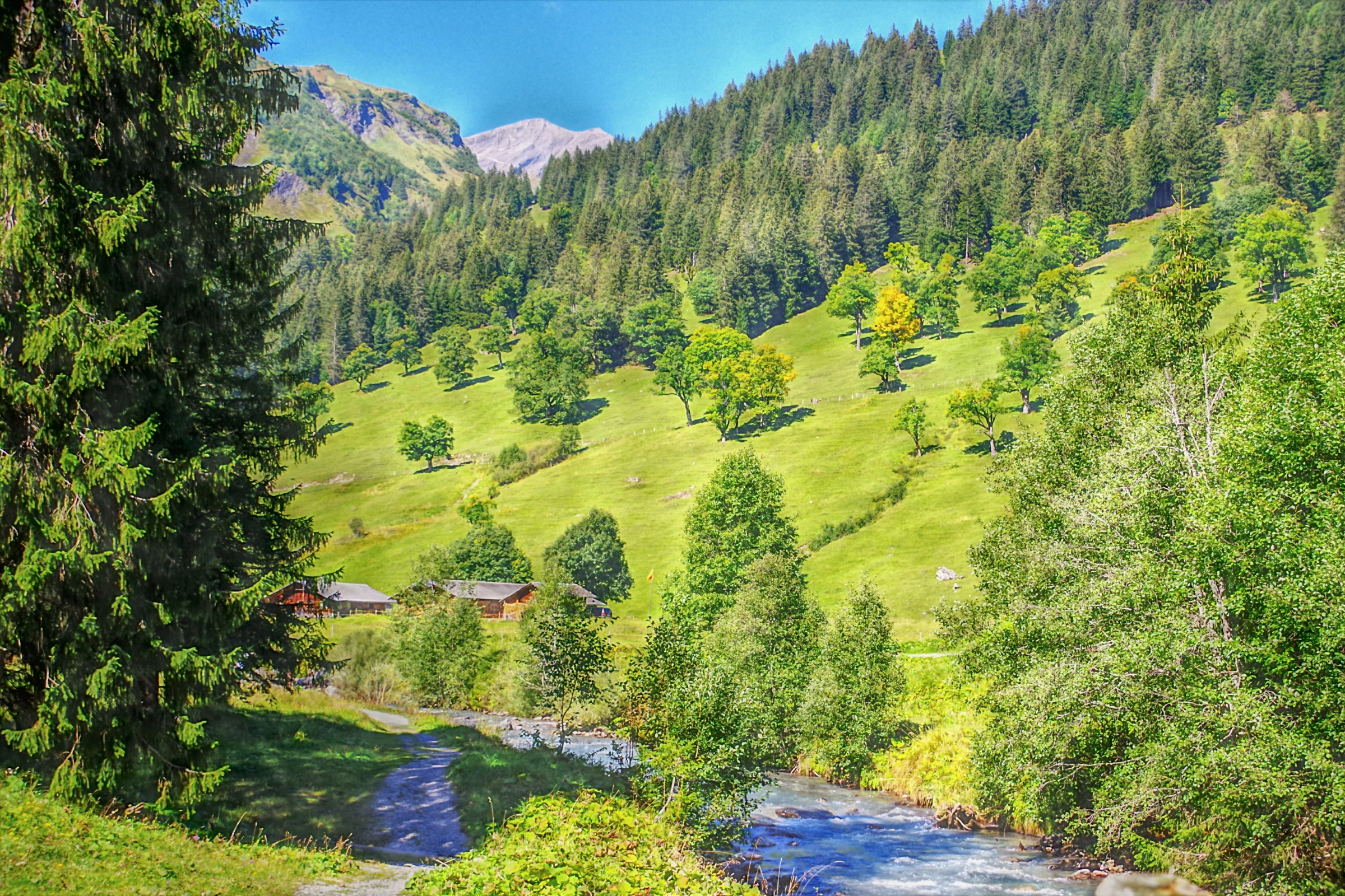 Schwarzwaldalp[1].webp